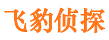 马龙侦探公司